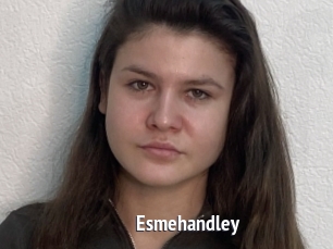 Esmehandley