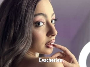 Evacheriee