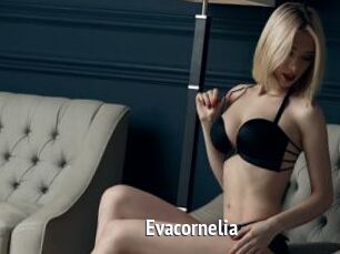 Evacornelia