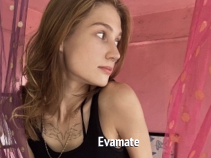 Evamate