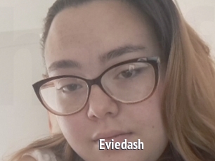 Eviedash