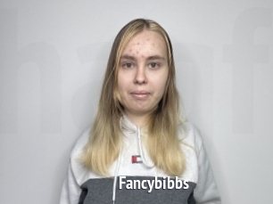 Fancybibbs