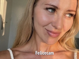 Felicecam