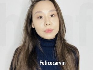 Felicecarvin