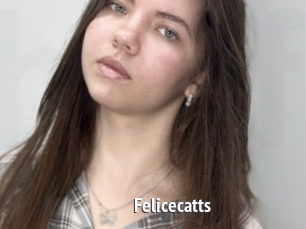 Felicecatts