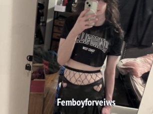 Femboyforveiws