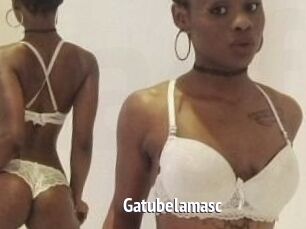 Gatubela_masc
