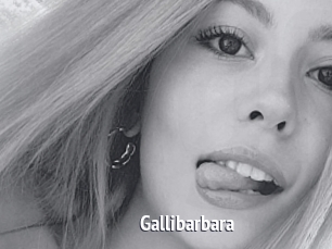 Gallibarbara
