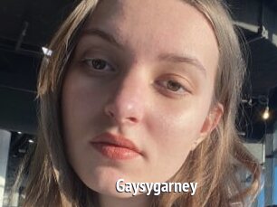 Gaysygarney