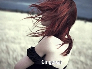 Gingercat