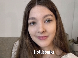 Hollisbarks