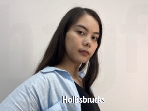 Hollisbrucks