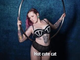 Hot_cute_cat