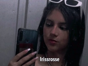 Irissrosse