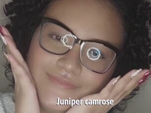 Juniper_camrose