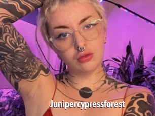 Junipercypressforest