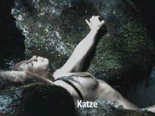 Katze