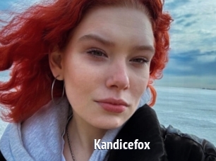 Kandicefox
