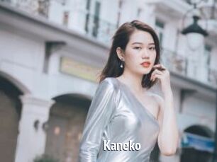Kaneko