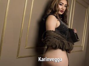 Karinvegga