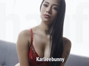 Karlieebunny