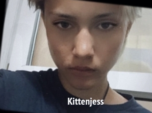 Kittenjess