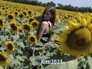 Kitti2023