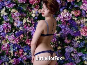 LittleHotFox