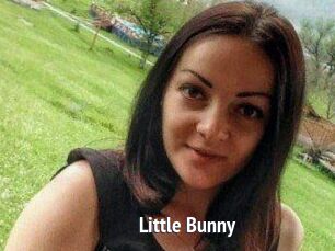 Little_Bunny_