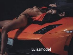 Luisamodel
