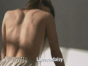 Larssondaisy