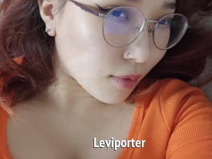 Leviporter