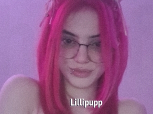 Lillipupp
