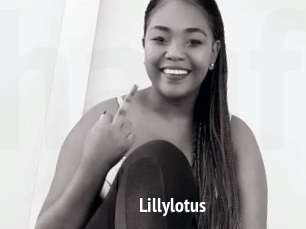 Lillylotus