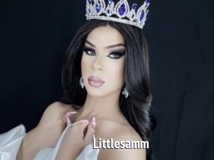 Littlesamm