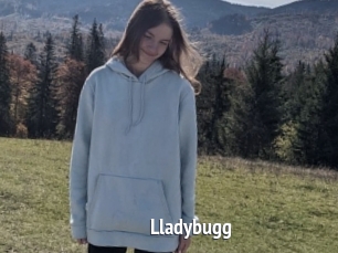 Lladybugg