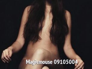 Magicmouse-09105004