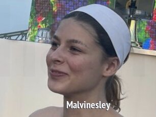 Malvinesley