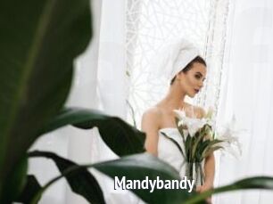 Mandybandy