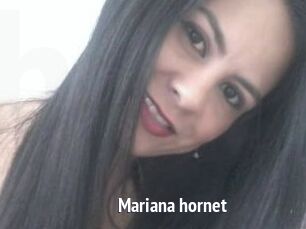 Mariana_hornet