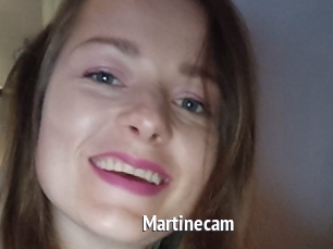 Martinecam