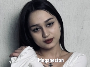 Meganecton