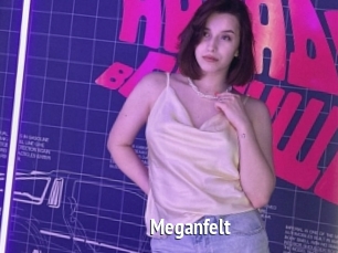 Meganfelt