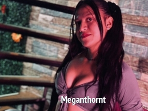 Meganthornt