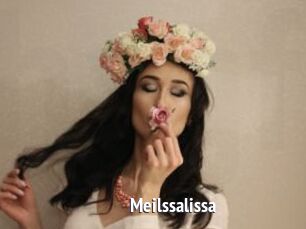 Meilssalissa