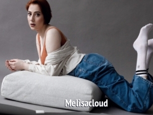 Melisacloud