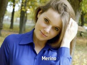 Merino