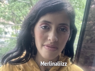 Merlinaliizz