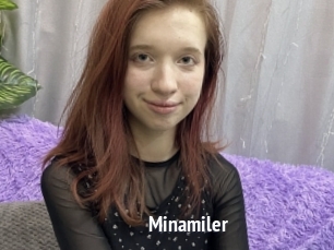 Minamiler
