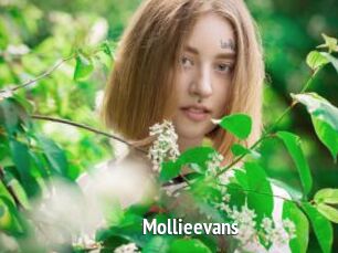 Mollieevans
